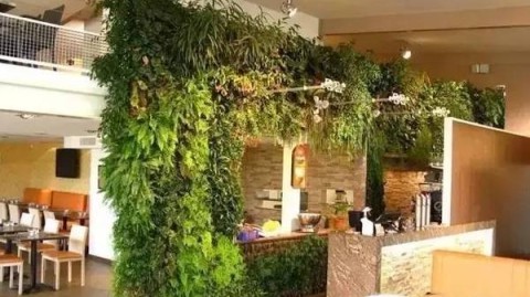 95%的人不知道：这样设计室内绿化方案，植物10年不死